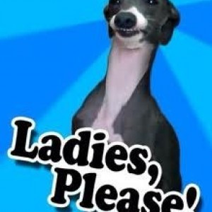 Add a Quote Top Quotes New Random