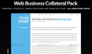 professional website design quote Windy Professional Shin Instep ...