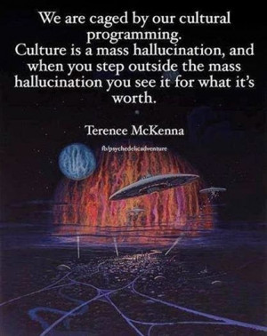 ... Terence McKenna left us with, mixed with the music of We Plants Are
