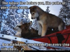 The future lies before you, like paths of pure white snow. Be careful ...