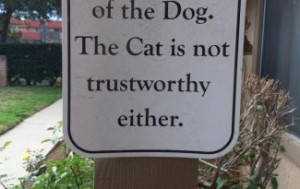 funny-pictures-beware-of-the-dog-the-cat-is-not-trustworthy-either ...