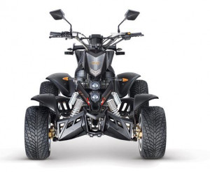 MINI ATV EPA ATV 250cc ATV