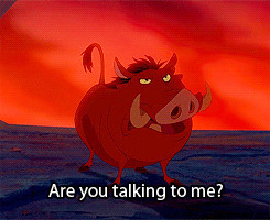 my gif lion king pumba timone lion mine