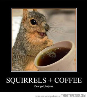 funny coffee a funny coffee quotes