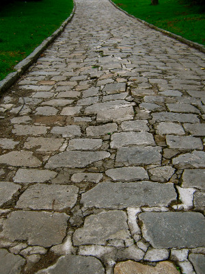 Brick Path Near River