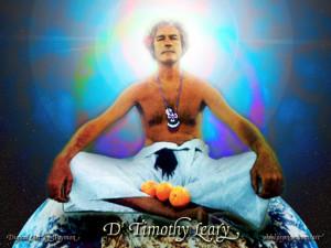 Timothy Leary 11 posts