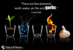 There are five elements: earth, water, air, fire and garlic.