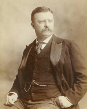 Theodore-Roosevelt-Bram-Stoker-Estate