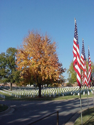 21 Veterans Day 2007 U.S. National Cemetery - Fort Smith, Arkansas ...