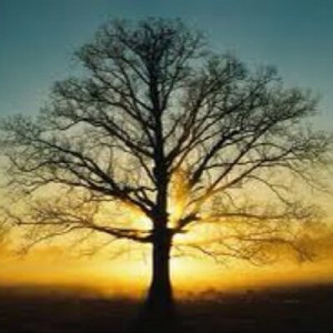 Inspirational Quotes