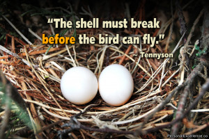 Inspirational Quote: “The shell must break before the bird can fly ...