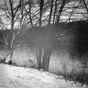 Flowers can be delivered today lincoln rutgers un shmoop guide to sex