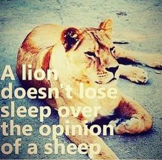 lion does not lose sleep over the opinion of sheep.