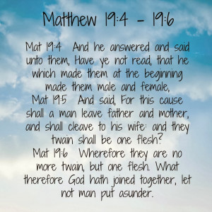 Matthew 19:4 - 19: 7 Bible Verses