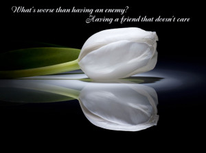 The Words With The White Lily Flower Picture Of Friendship Quotes