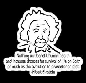 ShirtsGifts › Portfolio › Vegetarian Quote Albert Einstein