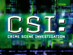 CSI Logo