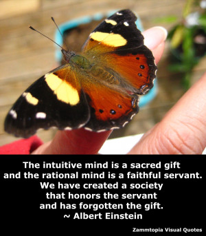 Zammtopia : Intuitive Coaching and Personal Development