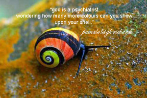 Rainbow Snail pamela quote