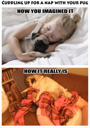 tagged with Funny Pictures - 38 Pics