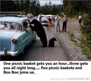 Funny Bear Warning