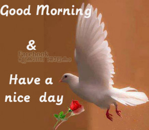 ... wishes good morning quotes have a nice day quote have a nice day
