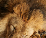 ... 00 22 a king only bows down to his queen love love quotes quotes girl