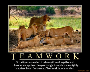 Lion Team Work Quotes Inspirational. QuotesGram