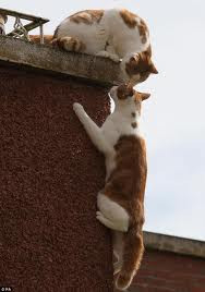 Some people put walls up, not to keep people out, but to see who ...