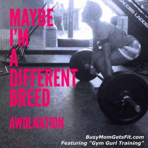 ... breed #sail #quote #awolnation #workout #fitness www.gorgomag.com
