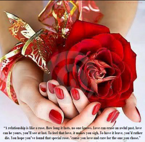 Latest Most Beautiful Red Rose Pictures with Romantic Love Quotes 2013