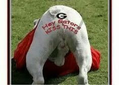 ... girls things georgia funny georgia dawgs gator kisses georgia bulldogs