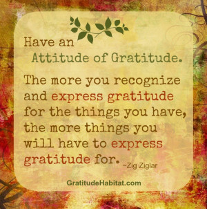 Living In Gratitude: Have an Attitude of Gratitude