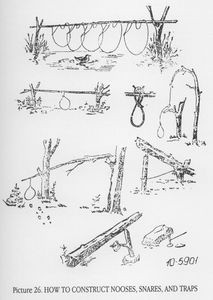 Printable Wilderness Survival Guide | There are numerous types of ...