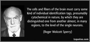 The cells and fibers of the brain must carry some kind of individual ...