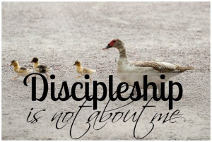 Discipleship is not about me ~ God gave the growth.