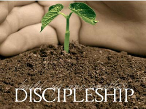 Discipleship is not simply about Bible Study but about learning to ...