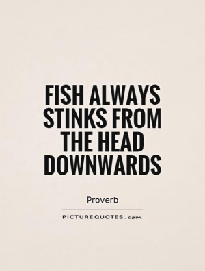 Fish Quotes Proverb Quotes