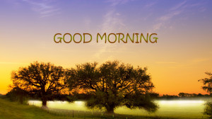 Good Morning HD Wallpaper & Pictures