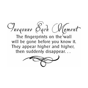 Treasure the Moments Vinyl Wall Quote by Enchanting Quotes