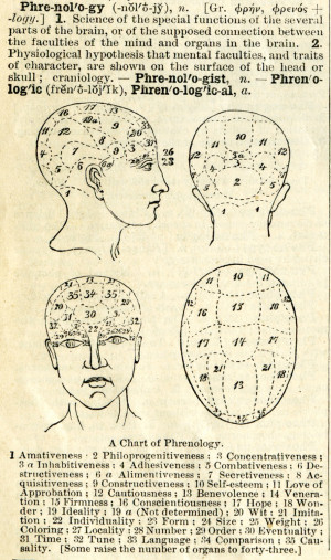 An illustration and definition of ‘phrenology’ from Webster’s ...