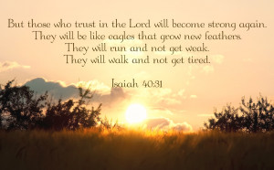 But those who trust in the Lord will become strong again.