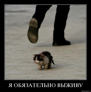 Маленький, грязный котенок прятался ...