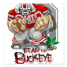 buckeye football Sticker for