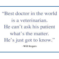 Click photo to learn more about each veterinarian.