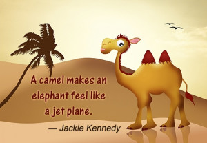 Quotes and Sayings about Camels