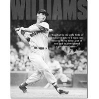 Ted Williams Quote Tin Sign 