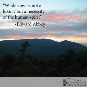 Friday Quote: Edward Abbey