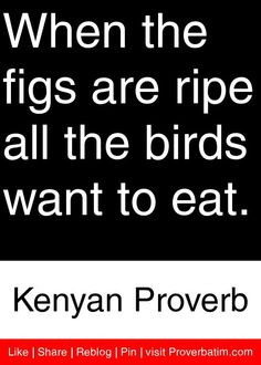 ... are ripe all the birds want to eat. - Kenyan Proverb #proverbs #quotes