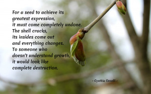 for-a-seed-to-achieve-1920x1200-life-quote-wallpaper-219-1312013793 ...